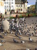 DSC04325