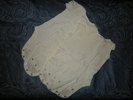 DSCN2706
