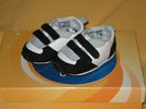 DSCN2784