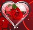 best flower