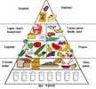 Piramida alimentelor
