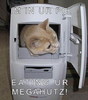 funny_cat_pictures_pc_5