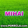 241-MIHAI avatare iarba mare