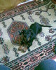 Imag006 (2)