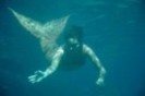 120px-Cleo_Swimming