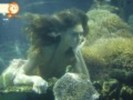 120px-Cleo-h2o-just-add-water-9192769-1024-768
