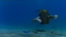 120px-Gift-of-Affection-h2o-just-add-water-1305799-236-178