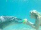 120px-Rikki-and-a-dolphin-h2o-just-add-water-9464214-320-240