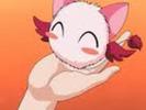 mini mew