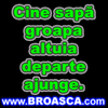 avatare_poze_Cine_sapa_groapa_altuia_departe_ajunge