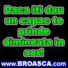 avatare_poze_Daca_iti_dau_un_capac_te_prinde_dimineata_in_aer
