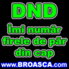 avatare_poze_dnd_imi_numar_firele_de_par_din_cap