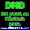 avatare_poze_dnd_ma_plimb_cu_elodia_in_parc