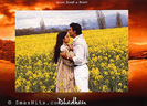 dhadkan7