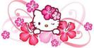 Hello kitty flowers