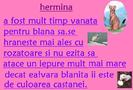 hermina1