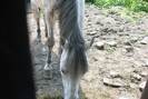 Picture 043