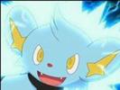 shinx: aaaaaa