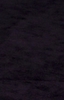 31324305_DIMYYCNGC