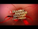 Grammys 2011- Miley Cyrus 028