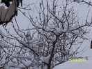 100_9334