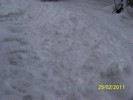 100_9335