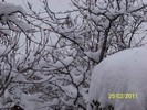 100_9336
