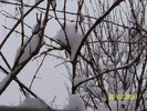 100_9341