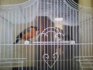 Picture 0204