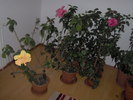 25.02.2011 011