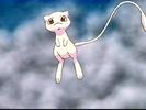 Mew: uau...infricosator!