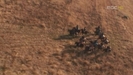 anhso-212330_Jumong4_jpg