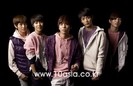 shinee3
