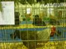 SN852749