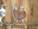 P2250021