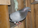 P2250026