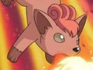 vulpix: si eu vreu sa ma lupt!!!!