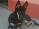 Imag006