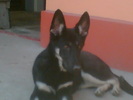 Imag008