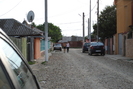 Picture 005