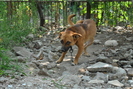 Picture 029