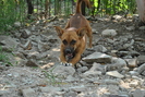 Picture 030