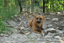 Picture 033