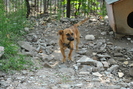 Picture 035