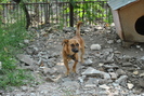 Picture 036