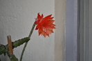 Picture 048