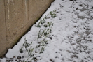 Picture 070