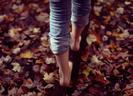autumn002