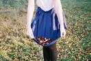 autumn003