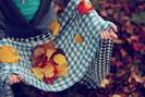autumn005